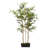 Faux Bamboo Tree in Pot-113470519