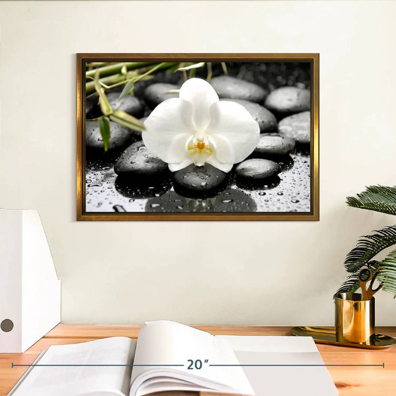 Orchidée blanche, Cadre flottant doré, 13 po x 9 po