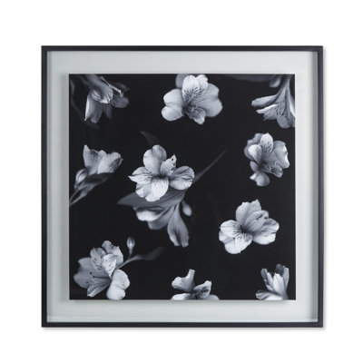 Black And White Flowers Print