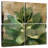 Harnek Succulent I-109143751