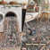  Vintage Bird Washable Area Rugs for Living Room Floral Soft Rug Low Pile Print Carpet