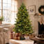 Christmas Tree-474265141