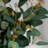 Audet Artificial Eucalyptus Branch(1 Stem)-1447833680