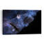 Electric Blue Frogfish Contemporary Fish Nature Ocean Wall Art Print-456584167