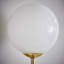 Aaliyah Armed Sconce