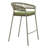 Daejon Skye Barstool (Set Of 2) Green