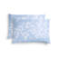 Butterfly Gingko Shams-872673003-872672996