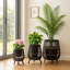 Jardinières modernes en bois de bambou rond pour espaces intérieurs et extérieurs - Pots de fleurs artistiques pour la maison, le salon ou le patio - ensemble de 3