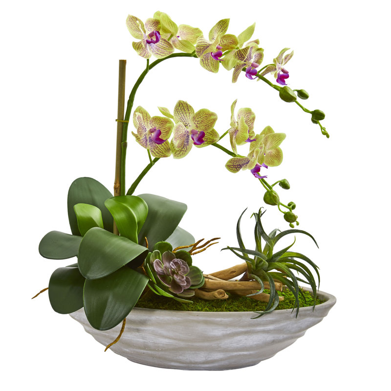 Agencements de fleurs en phalaenopsis artificiels et des vases en, H 19 po x l 17 po x P 9 po