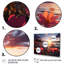 Coucher de soleil sur le champ de fleurs sauvages-1983191764-1983191768