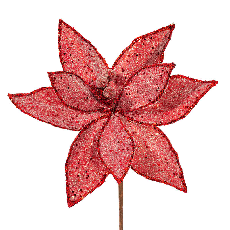 Tiges de poinsettias Clintonpark, Blanc