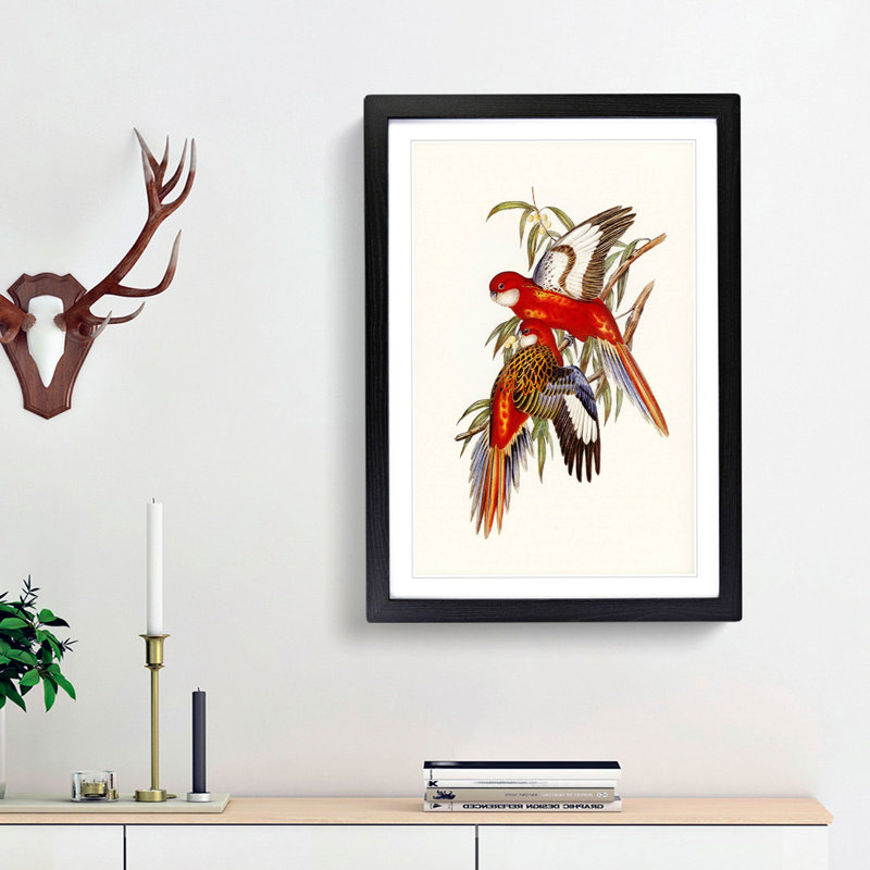 Fiery Parakeets by Elizabeth Gould - Picture Frame Art Print, 48cm H x 36cm W x 2cm D, Black Framed
