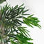Faux Bamboo Tree in Pot Liner-88443229