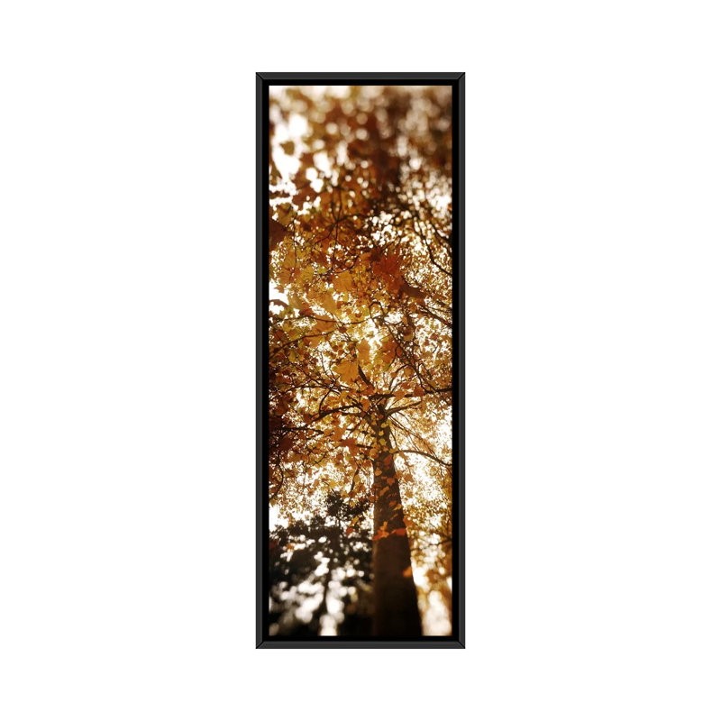 Reproduction d’art sur toile tendue, "panoramic volunteer park, seattle, washington state", H 36 po x l 12 po x P 1,5 po