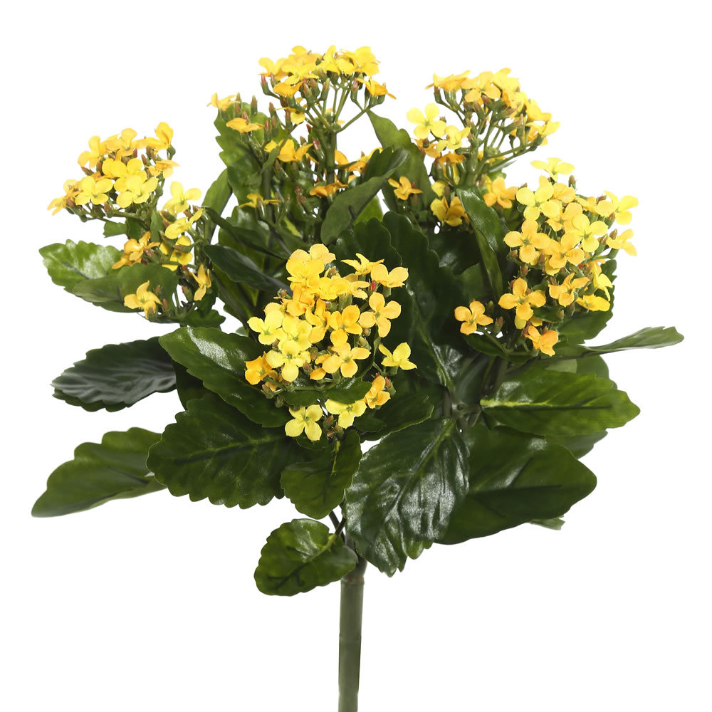 Kalanchoe Stem, 17.25" H x 8" W x 8" D, Yellow