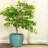 14 in (35.6 cm) Raised Hexagon Pattern Glazed Ceramic Planter - Turquoise