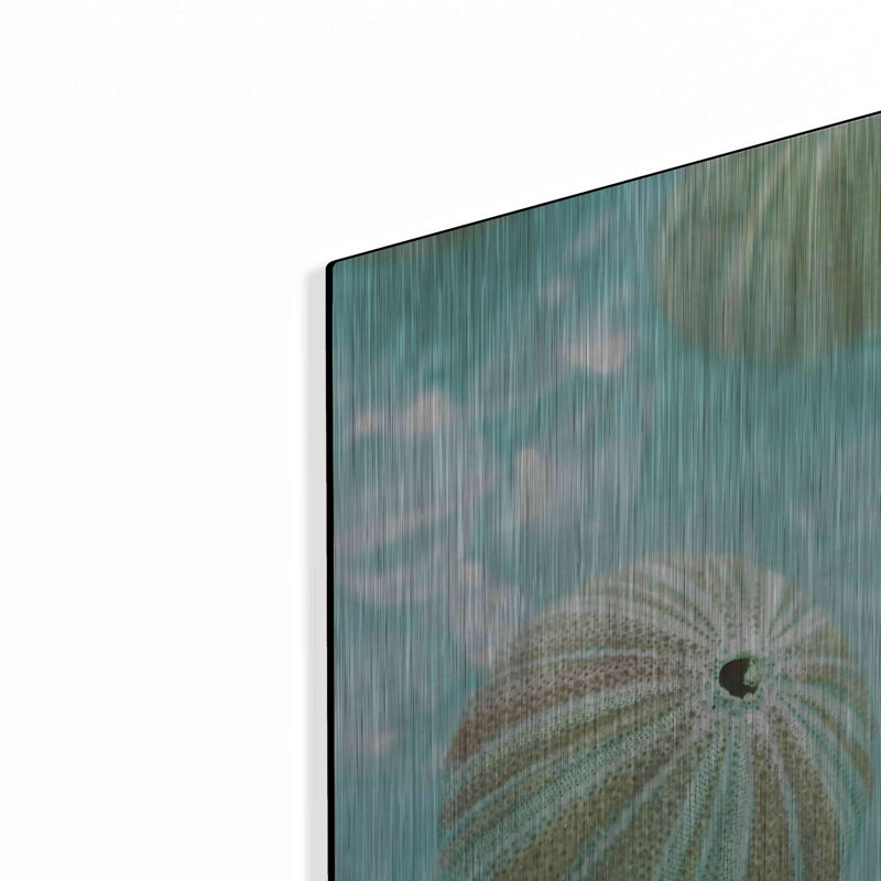«Seaglass 4» par Alan Blaustein - reproduction d'art sur métal sans cadre, H 16 po x l 12 po x P 0,13 po