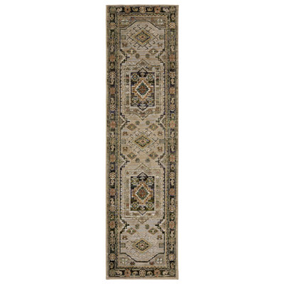 Reenu Oriental Indoor Rug