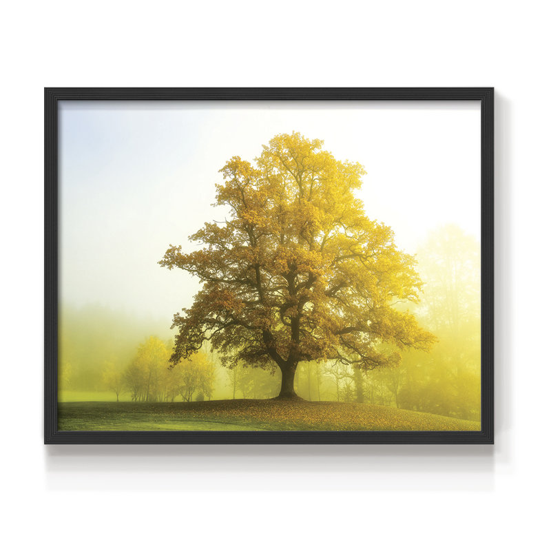 The Sentinel -Framed Print - Restickable, 11" H x 14" W, Black