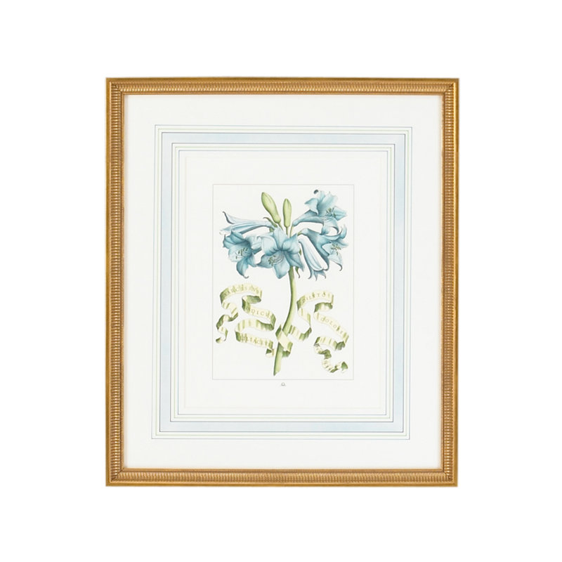 Blue Floral With Ribbon-C Print