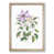 Oak Framed selected