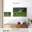 Alvord, Suisse, Highland Cows-107854206