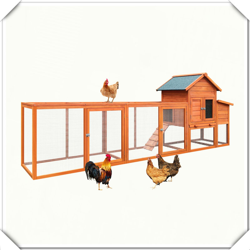 Grande cage à poules en bois