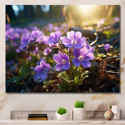 «Violets Field At Sunrise II», reproduction sur toile