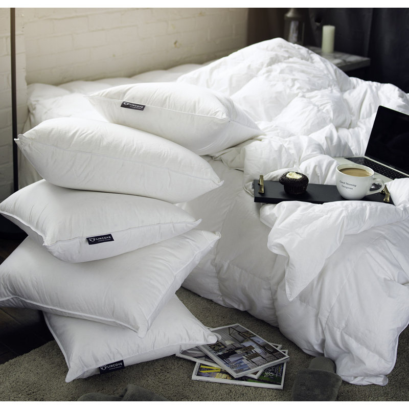 Oreiller en duvet de lin Euro - capacité de remplissage 625, densité de tissage 500 - coquille 100% coton, H 24 po x l 24 po