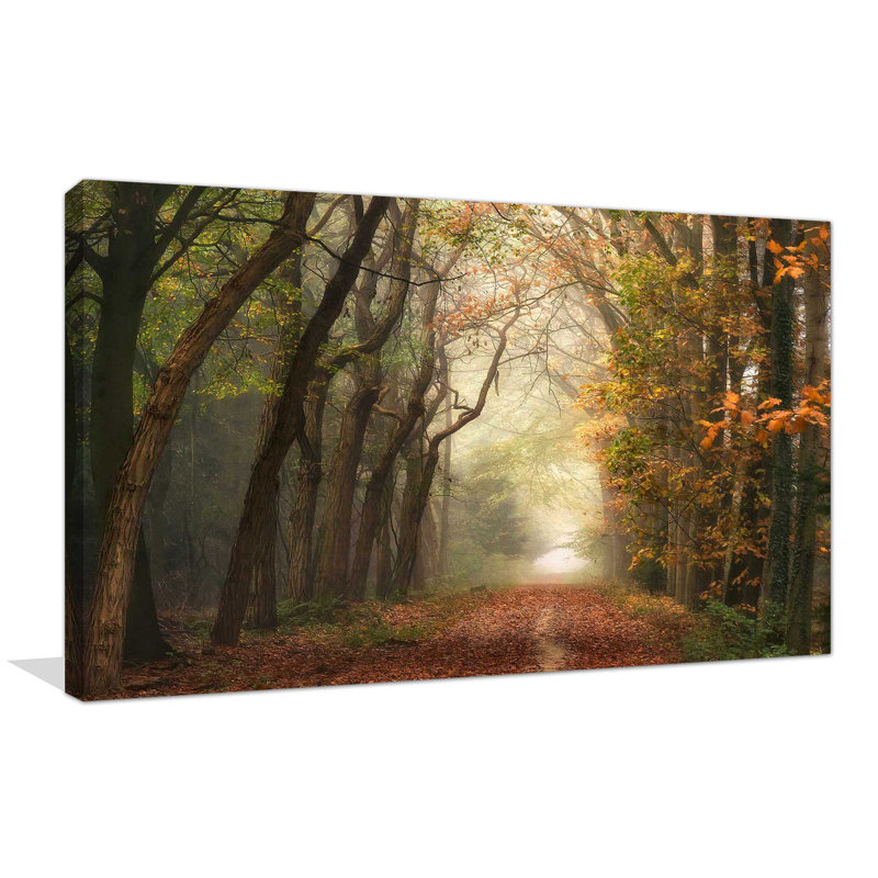 " Path Of Dreams " by Lars Van De Goor, Wrapped Canvas, 36" H x 60" W x 1.5" D