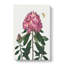 Butterfly and Rhododendrons by R.J. Thornton - Wrapped Canvas-55362081