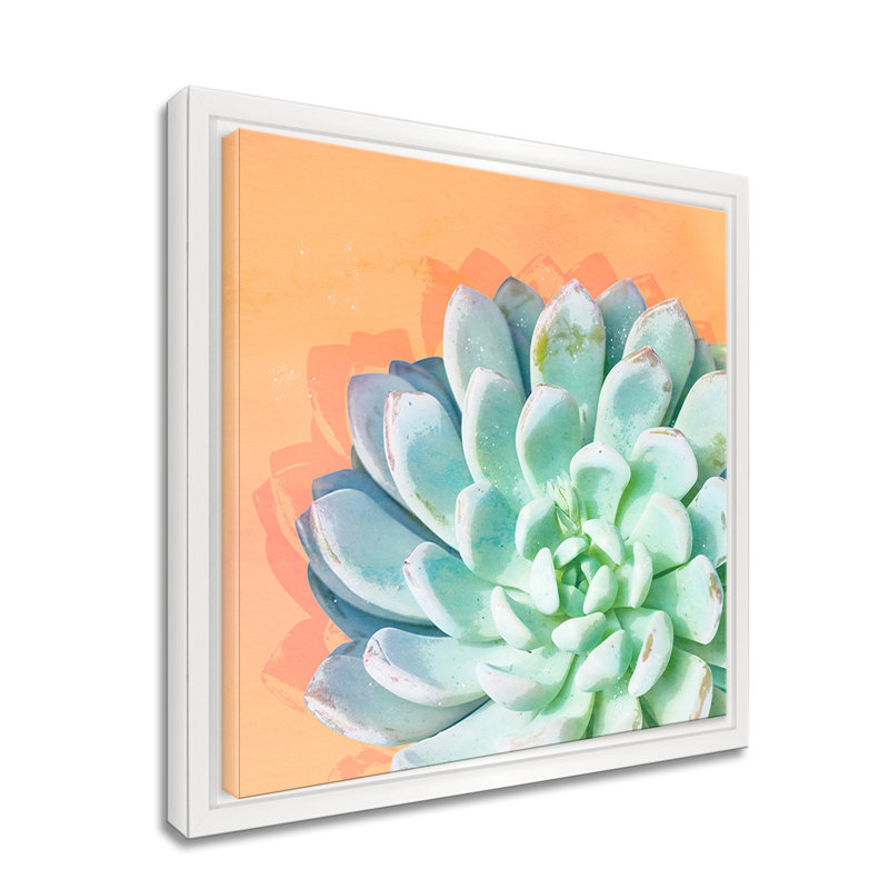« réveil iv », impression sur toile succulent, H 30 po x l 30 po x P 1,5 po, Cadre blanc