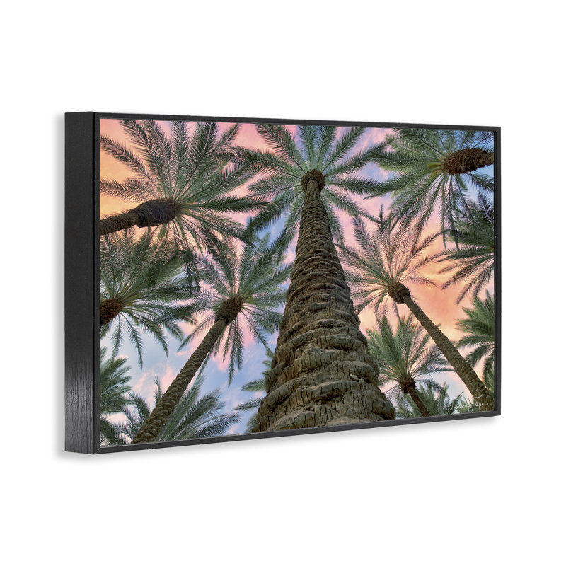 «Tall Overhead Palms», estampe numérique par Dennis Frates, Giclée encadrée noir minuit, H 16 po x l 24 po