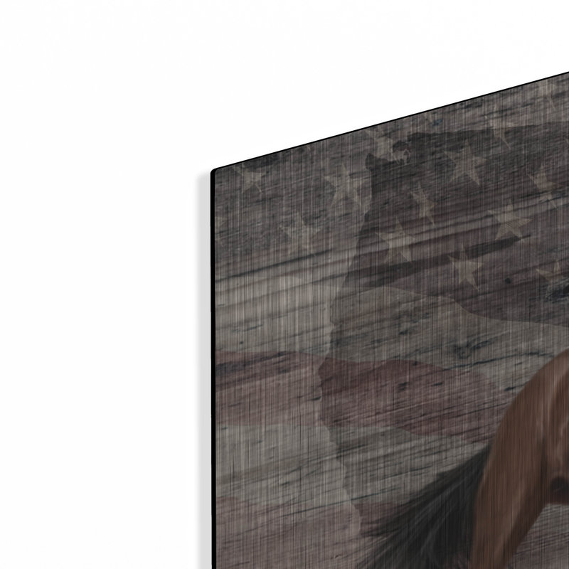 «Woodgrain Antiques Mustang Usa» par Gordon Semmens, art mural en métal, H 24 po x l 48 po