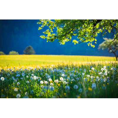 Alpen Landscape by Konradlew