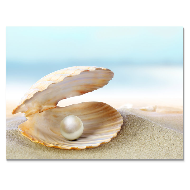 Coquillage avec une perle - Photographie sur toile, H 24 po x l 32 po x P 1 po, Toile tendue