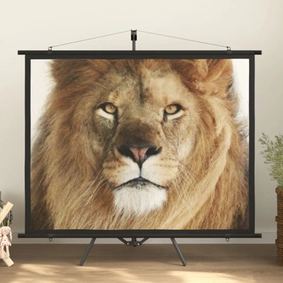 Arpiar White Portable Projection Screen
