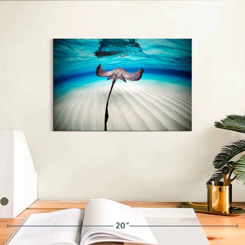 Paysage sous-marin Braming Stingray, H 8 po x l 12 po