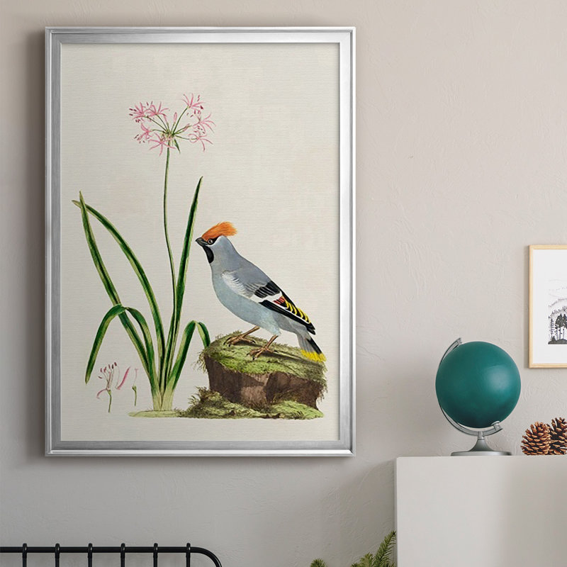 Bird in Habitat II, reproduction encadrée de qualité supérieure - prête à être accrochée, Argent