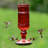 Hartranft Glass Hanging Hummingbird Feeder-548912057