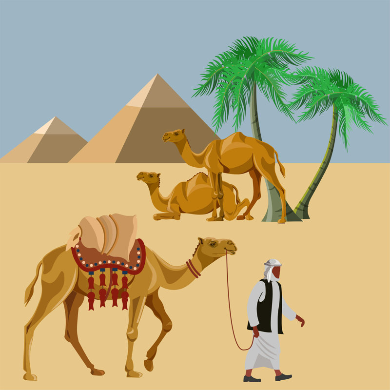 «Arab Man with a Camel», impression sur toile tendue, H 36 po x l 36 po