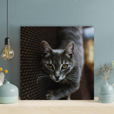 " Gray Tabby Cat Lying On Gray Textile " Painting Print