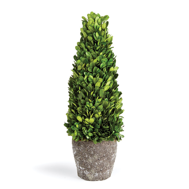 Alby Faux Plant, 16" H x 5" W x 5" D