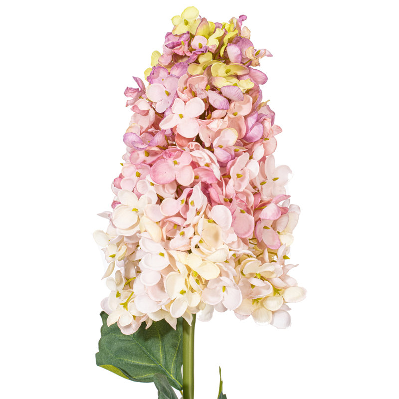 Hydrangea Stem, Lavender