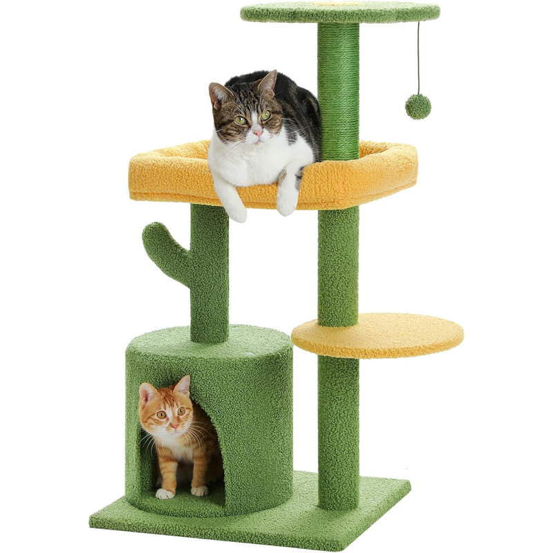  Arbre à chat, tour à chat 36,5 pouces pour chats d'intérieur, arbre à chat multi-niveaux avec poteaux à griffer, condo pour chat privé, perchoir moelleux pour petits chatons
