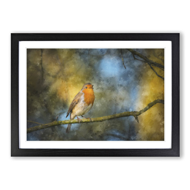 Robin Bird in a Tree - Picture Frame Painting Print on MDF, 62cm H x 87cm W x 2cm D, Black Framed