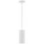 Luminaire suspendu cylindrique à 1 lumière-160360539-137673728