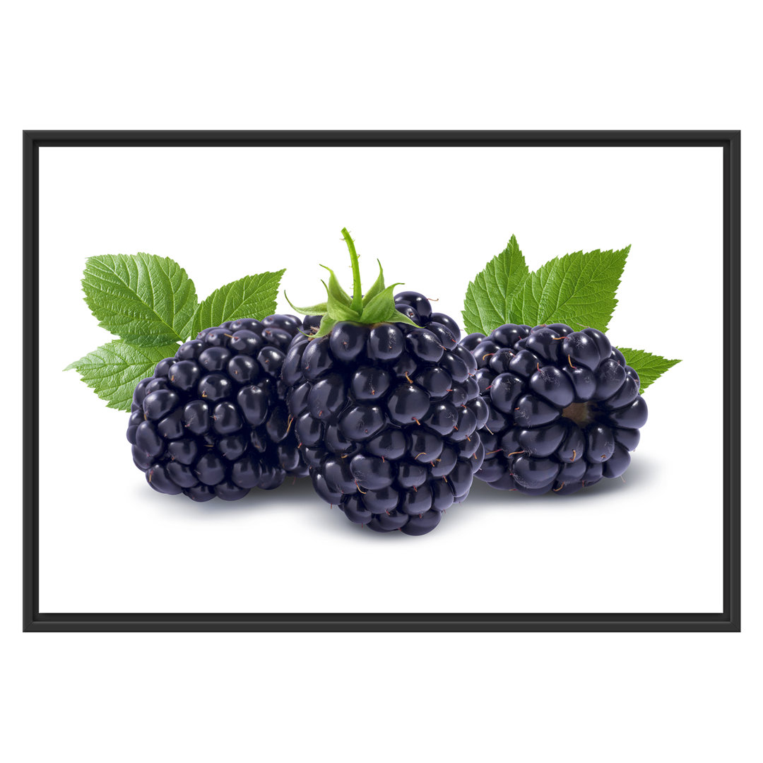 Gerahmtes Wandbild Leckere Brombeeren