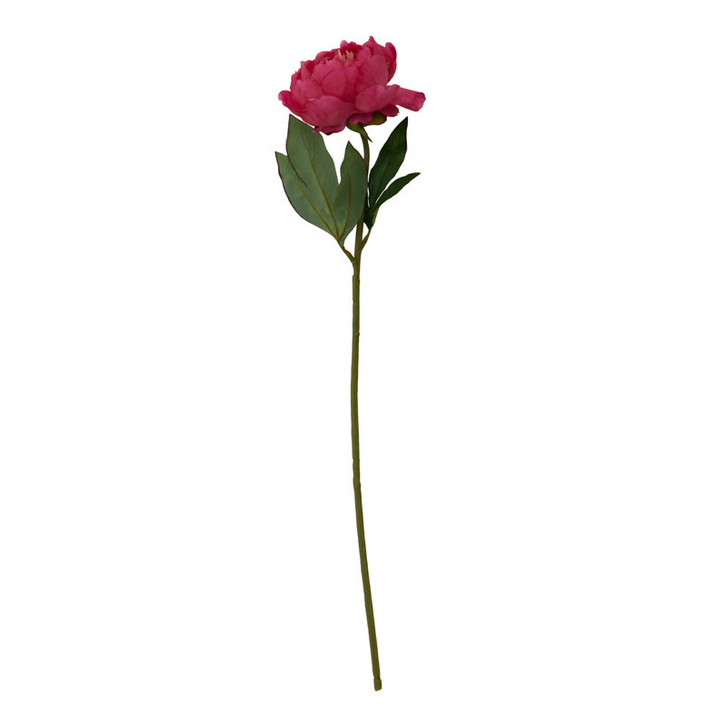 Fiori Peony Arrangement