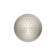 Forte® Wall-Mount Single-Function Showerhead with 66-Nozle 5.5 Inch Sprayface, 2.5 GPM